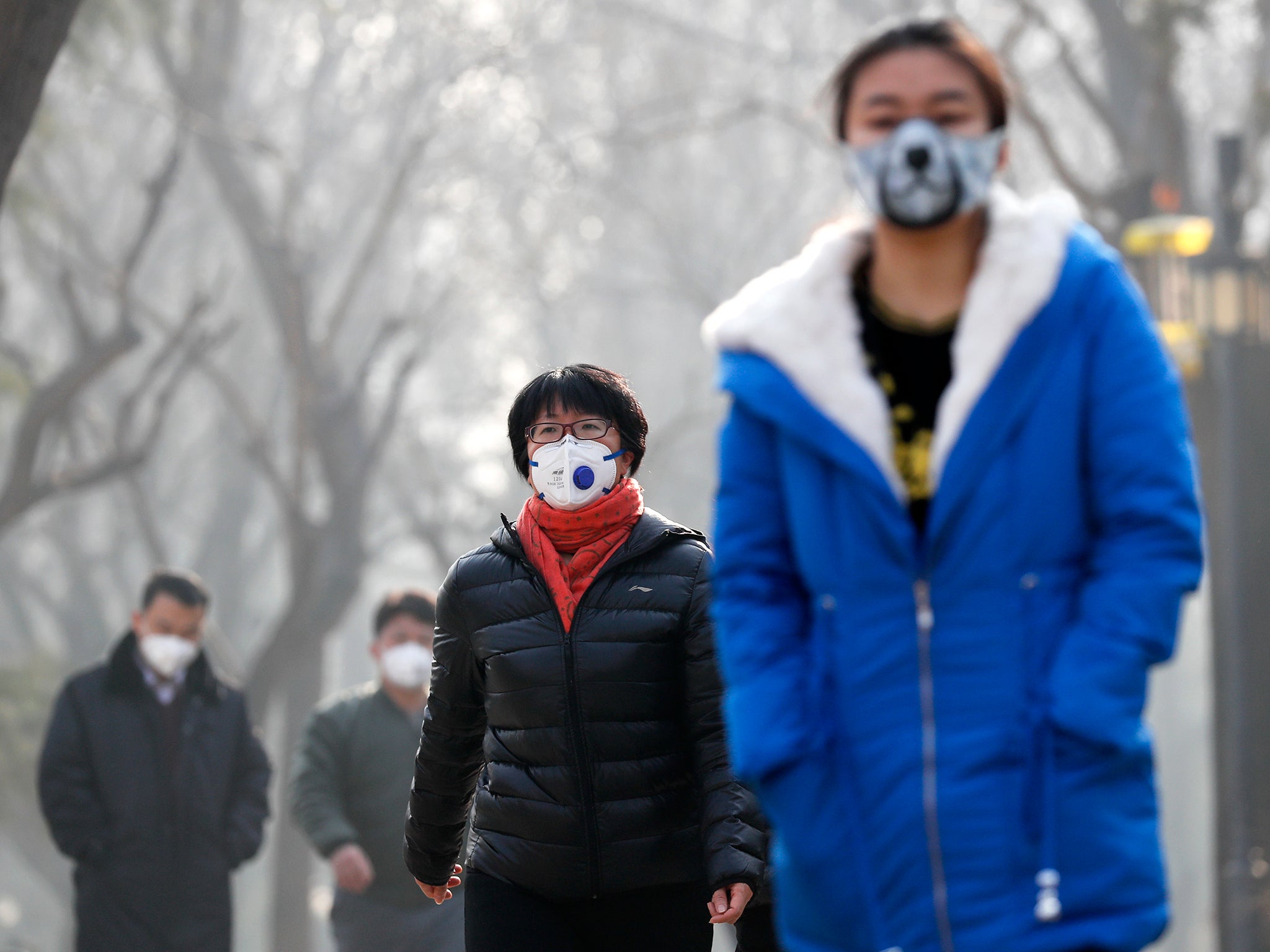 People wearing masks for protection against heavy smog walk in Beijing's Ritan Park