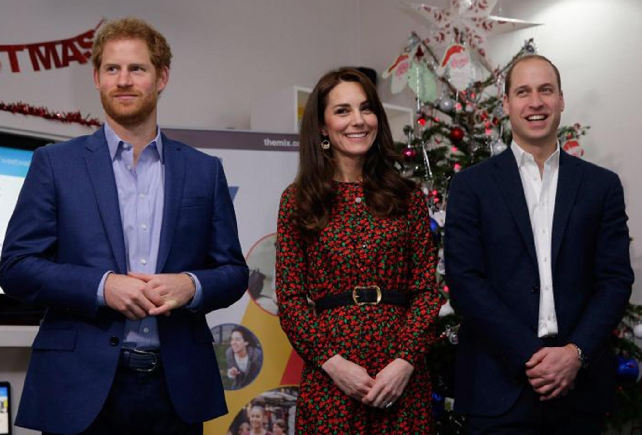 The royal heard how the Young and Homeless Helpline will help young lives