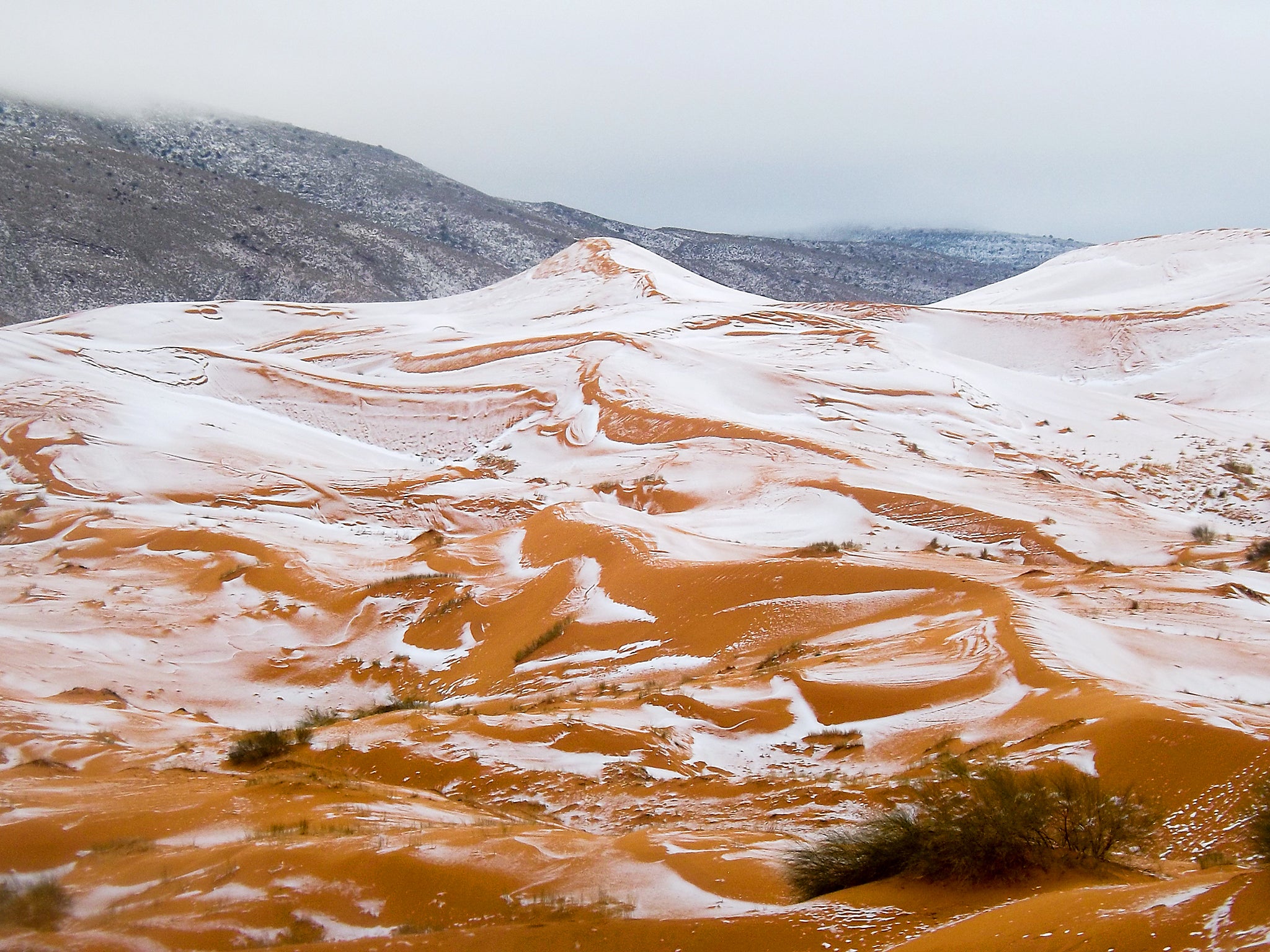 Snow on dunes near Ain Sefra, Algeria. Snow was last seen in Ain Sefra, known as 'The Gateway to the Desert,' on 18 February, 1979, when the snow storm lasted just half an hour