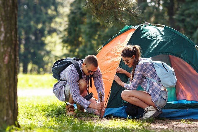 Halfords said sales of camping equipment were the highest on record 