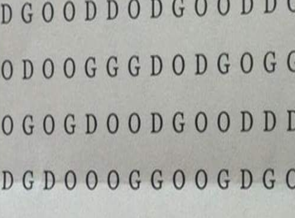 this-has-been-dubbed-the-hardest-word-search-ever-can-you-find-the-word-dog-indy100-indy100