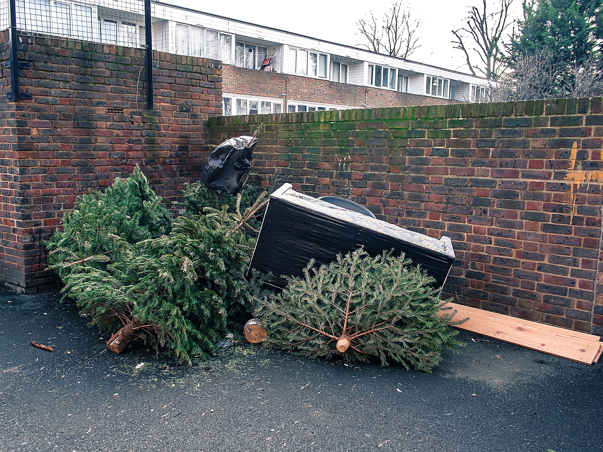 Christmas trees lie amongst rubbish