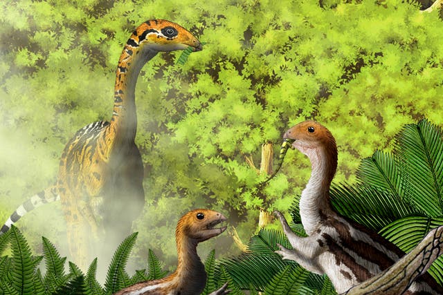 An artist's impression of the Limusaurus