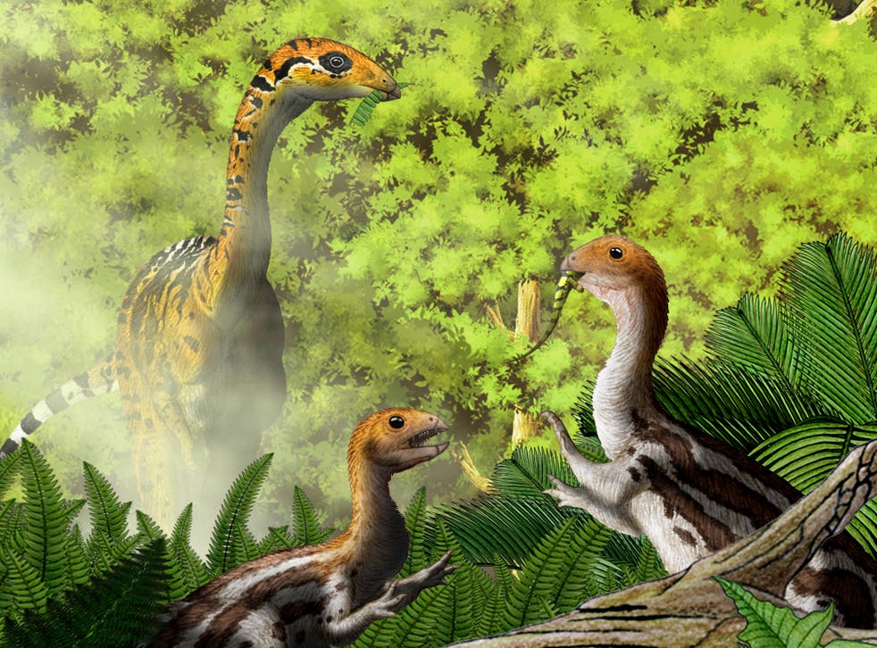 An artist's impression of the Limusaurus