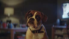 The best Christmas advert of 2016 has been revealed