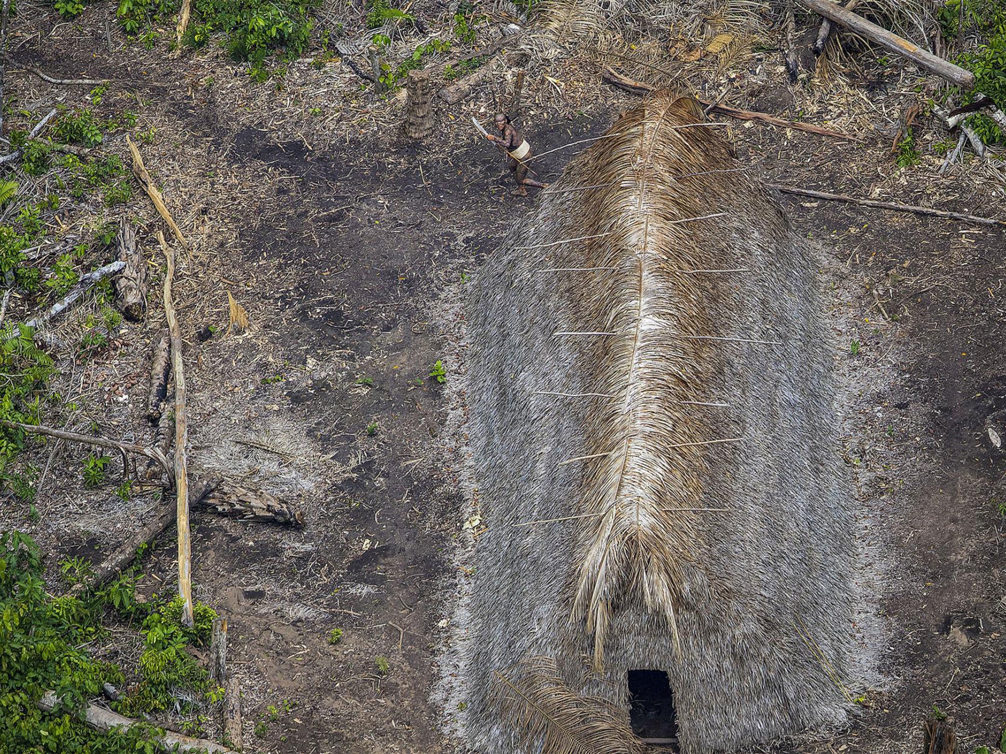 The World Wildlife Fund believes up to 48 football fields worth of forest is lost every minute Ricardo Stuckert