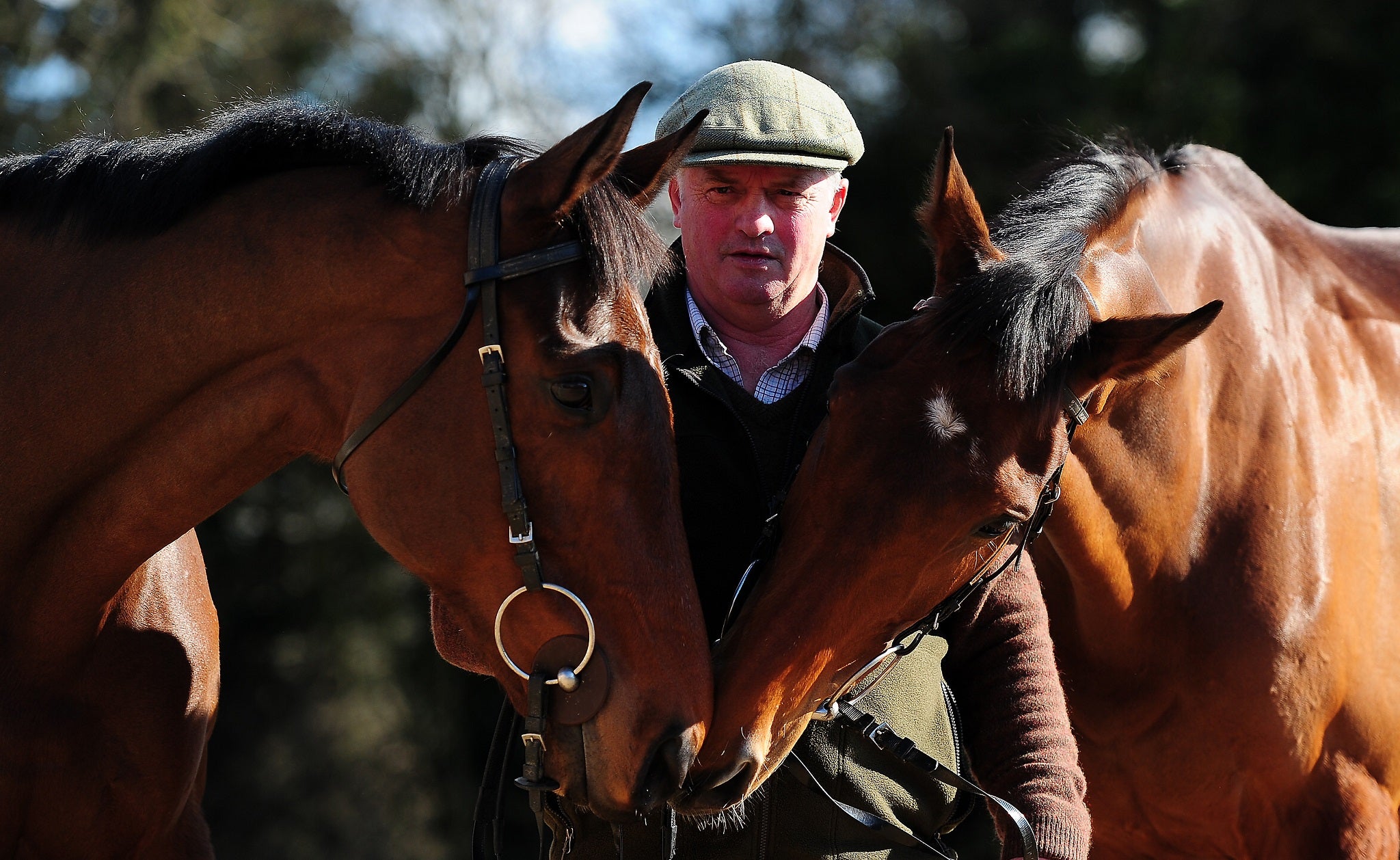 Trainer Colin Tizzard pictured with his two big names Thistlecrack and Cue Card