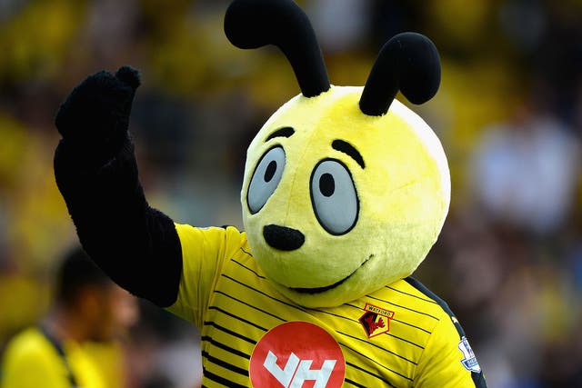 'Harry the Hornet' dived in front of Zaha after the final whistle