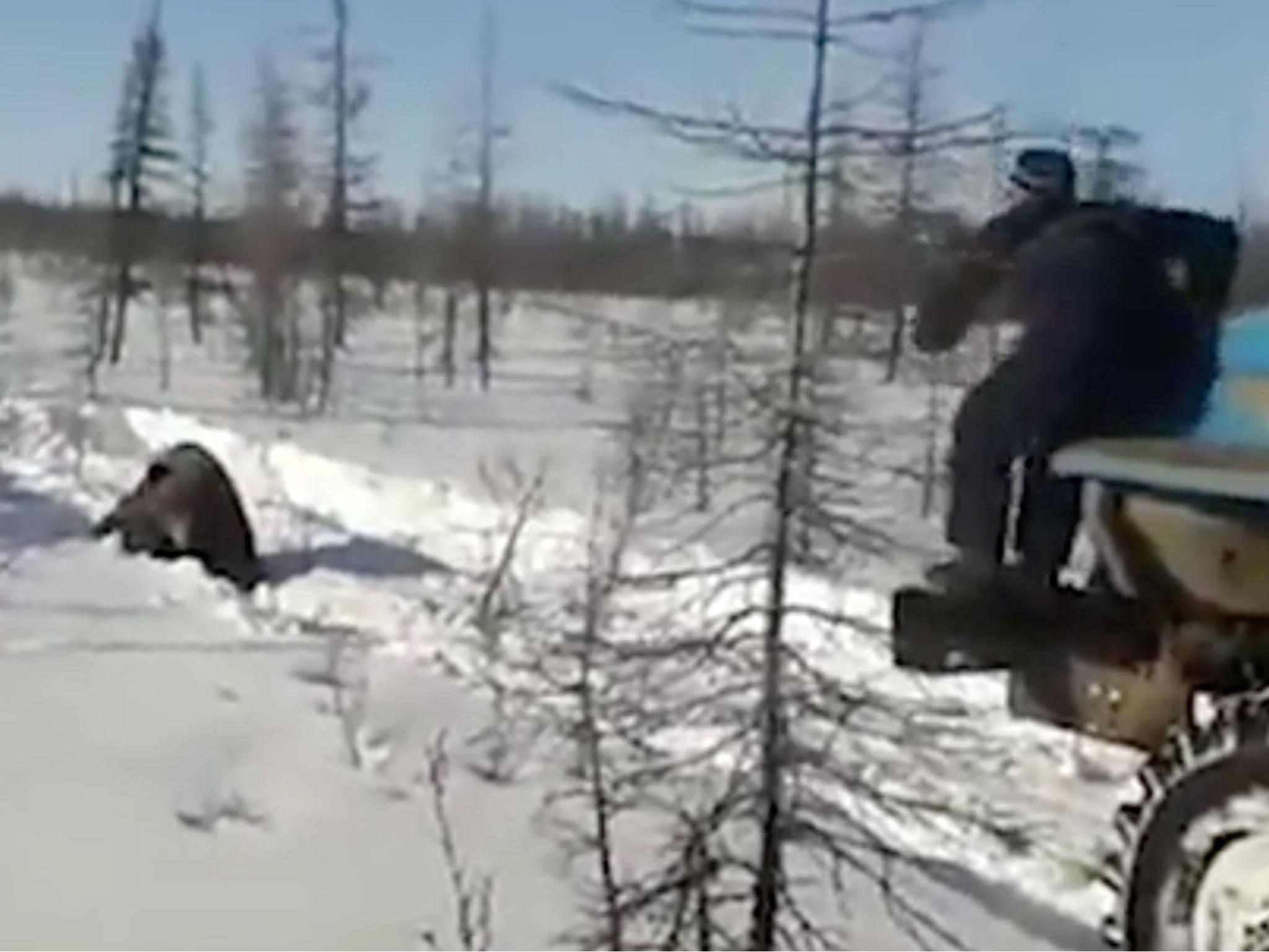 Men attack an exhausted bear in Russia