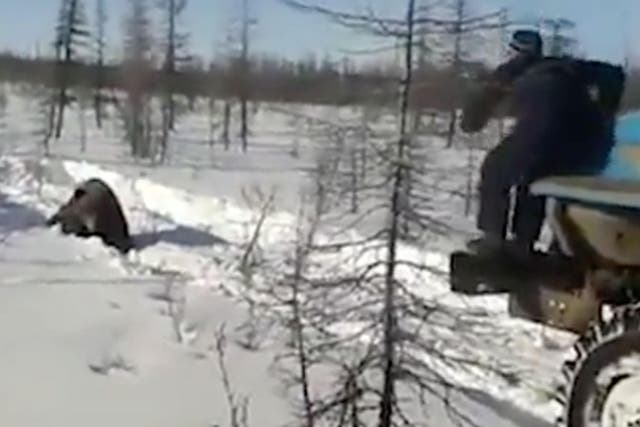 Men attack an exhausted bear in Russia