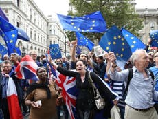Britons must get ‘associate EU citizenship’ regardless of Brexit deal