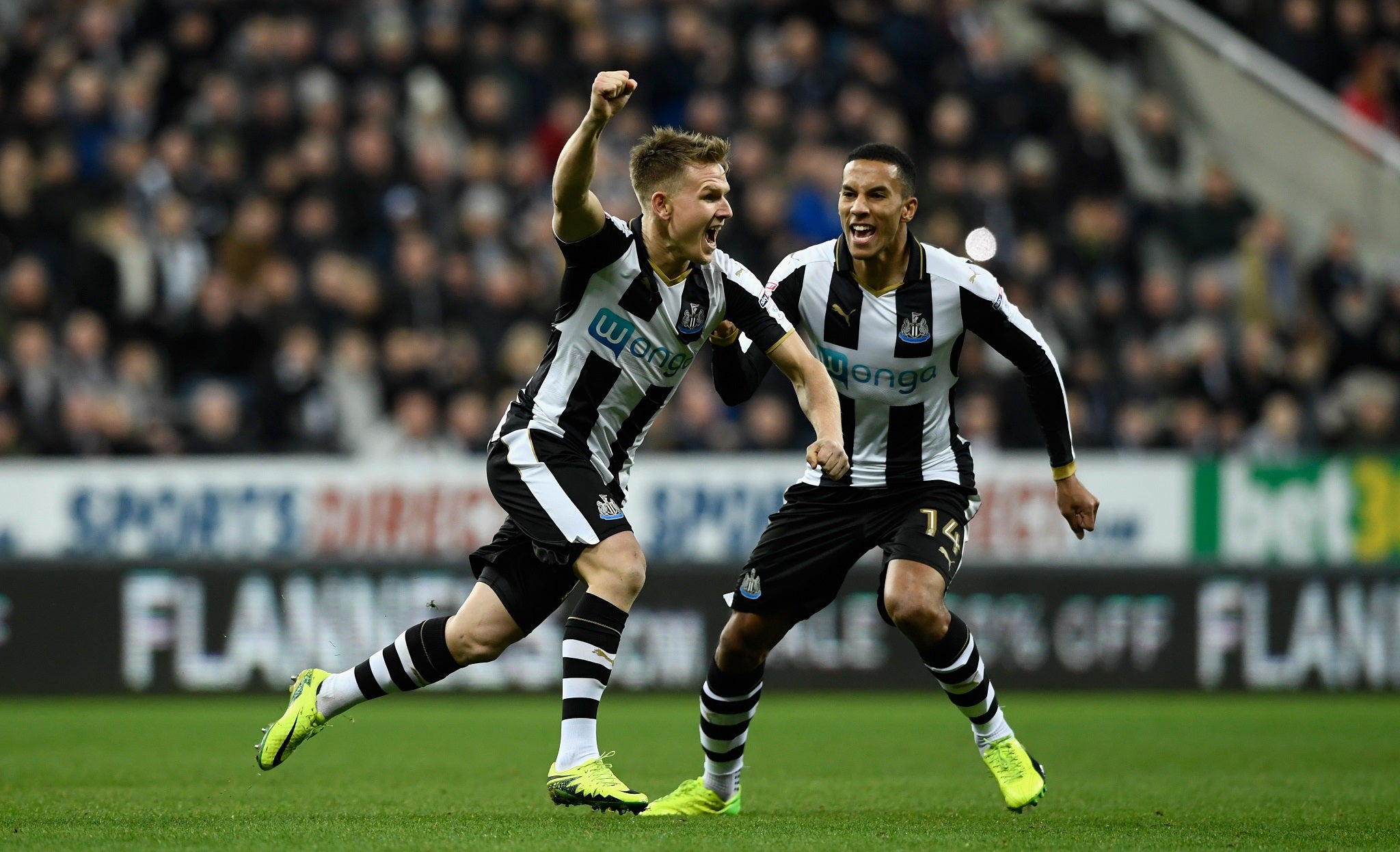 Matt Ritchie celebrates scoring Newcastle's opening goal