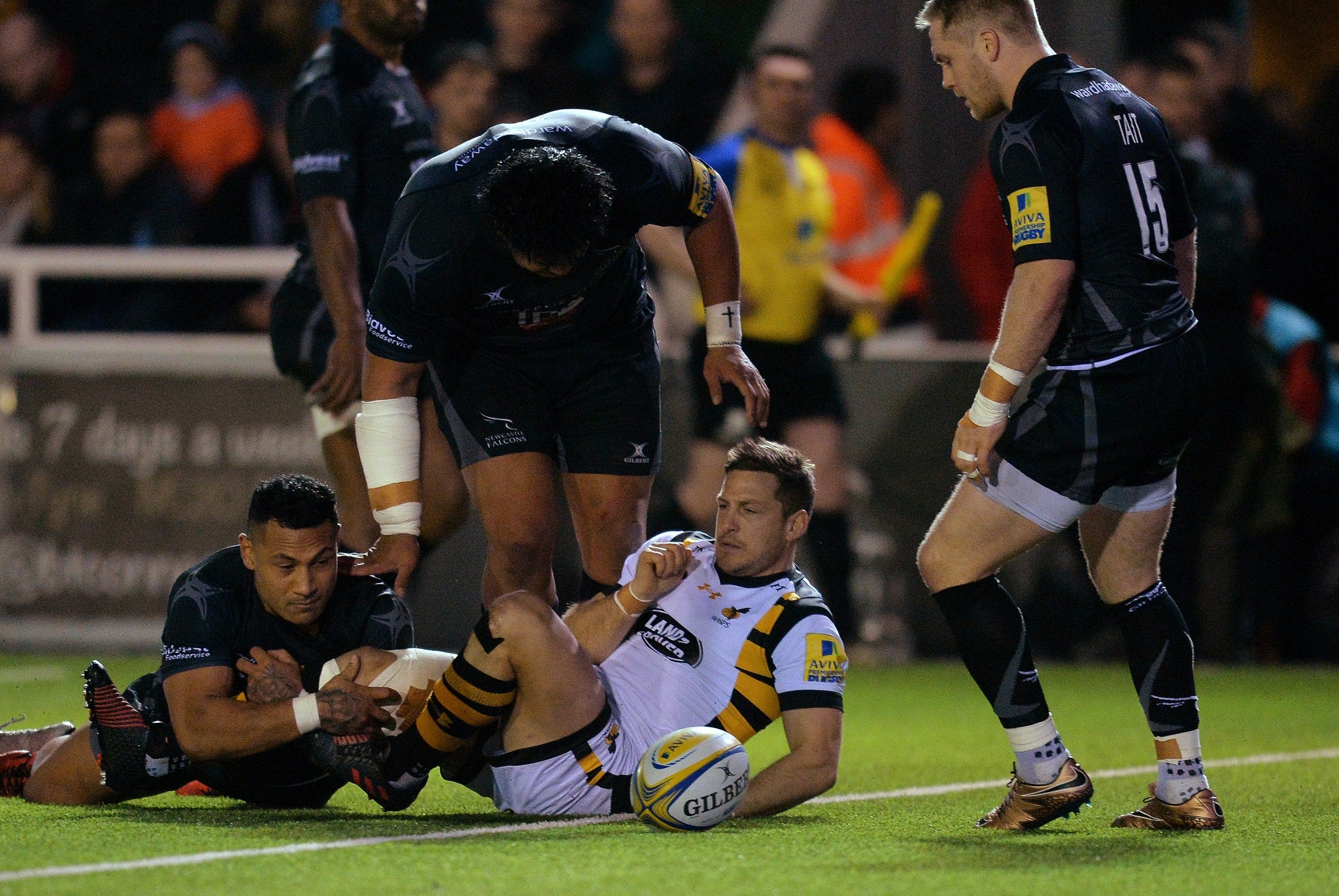 Jimmy Gopperth touches down to score a try for Wasps and secure victory over Newcastle