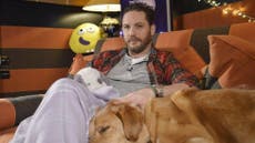 Tom Hardy reads bedtime story on CBeebies, sends Twitter into meltdown