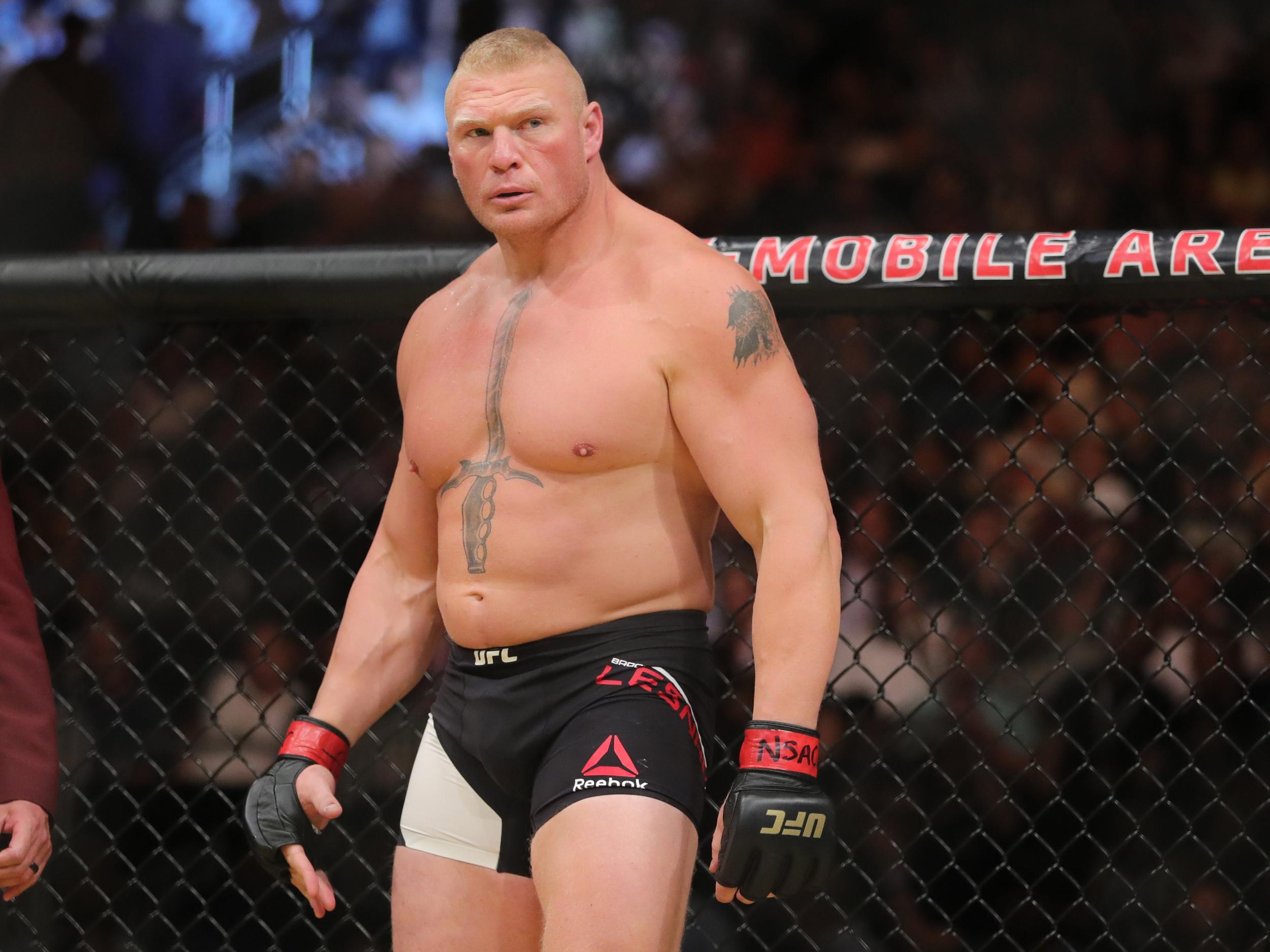 Brock Lesnar has since returned to a career with the WWE