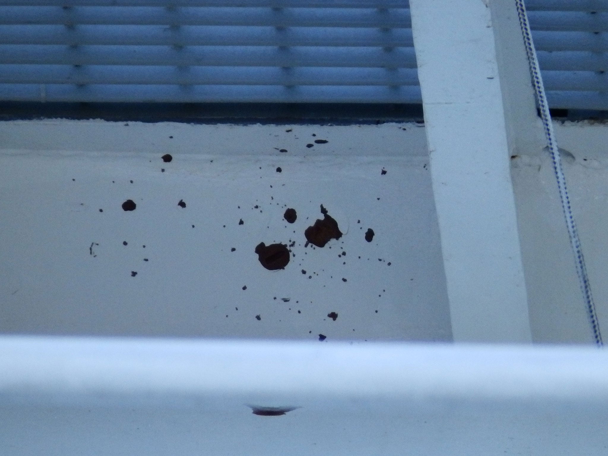 Damage from bullets fired by the Libyan coastguard below the bridge on MSF ship the Bourbon Argos (Lizzie Dearden )