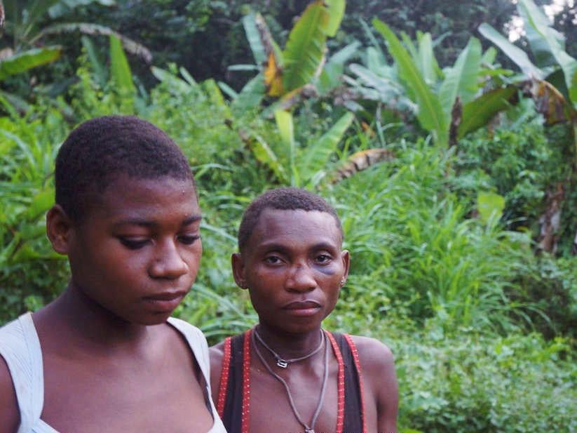 WWF was also accused of human rights abuses against indigenous peoples in Cameroon in 2015