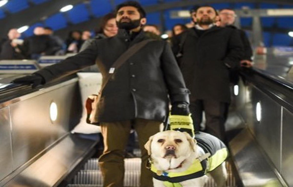 Blind Man Puts Camera On Guide Dog To Expose Daily Abuse From Commuters The Independent The Independent