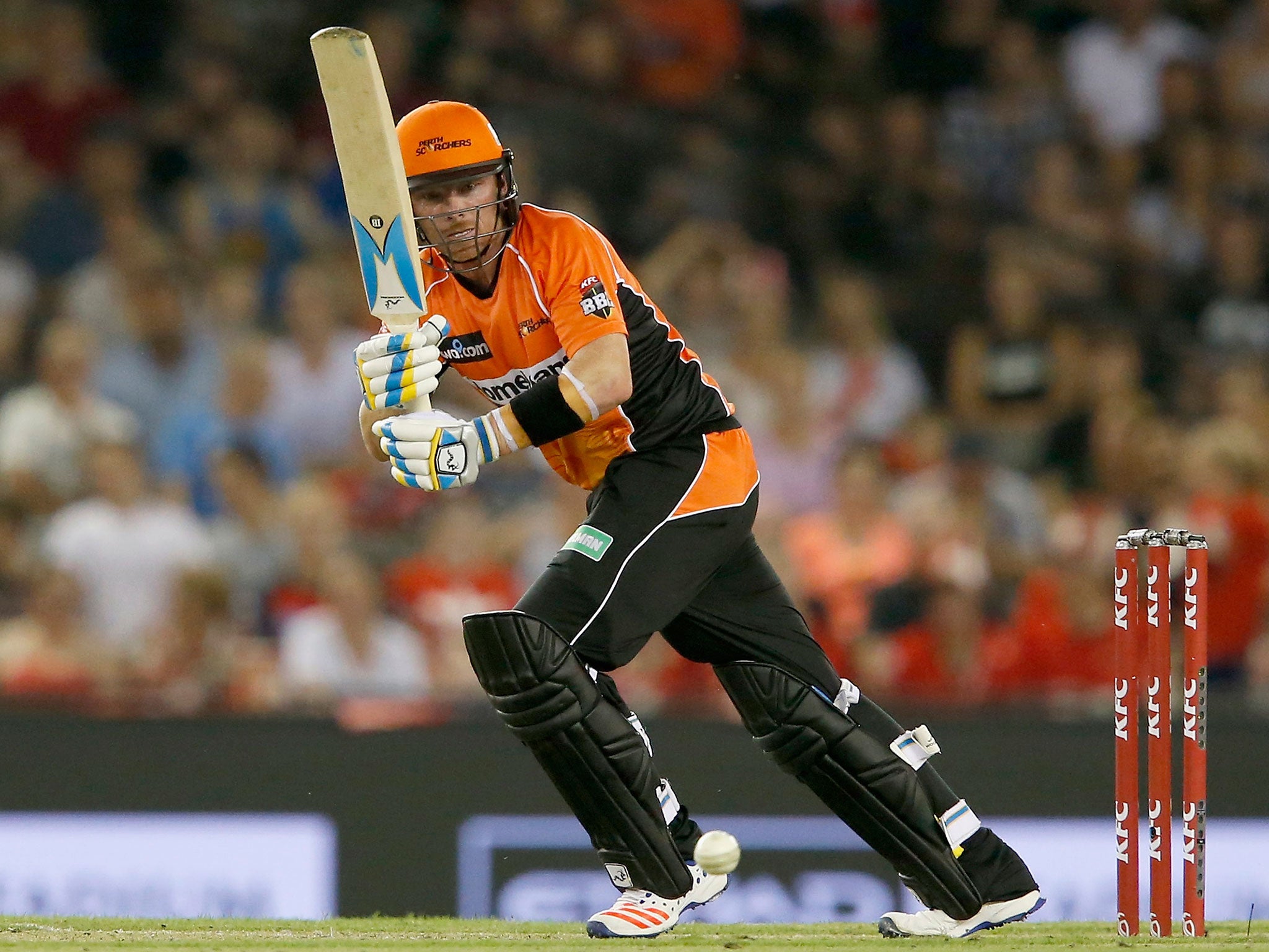 Ian Bell in action for the Perth Scorchers