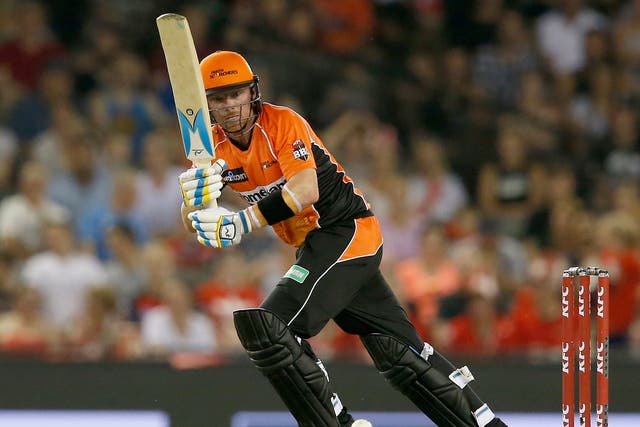 Ian Bell in action for the Perth Scorchers