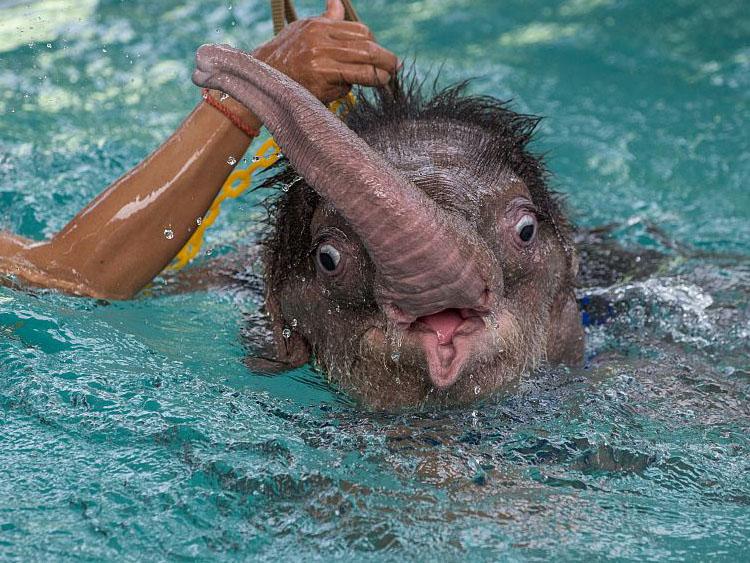 After some initial nerves, she seemed to start enjoying the swim