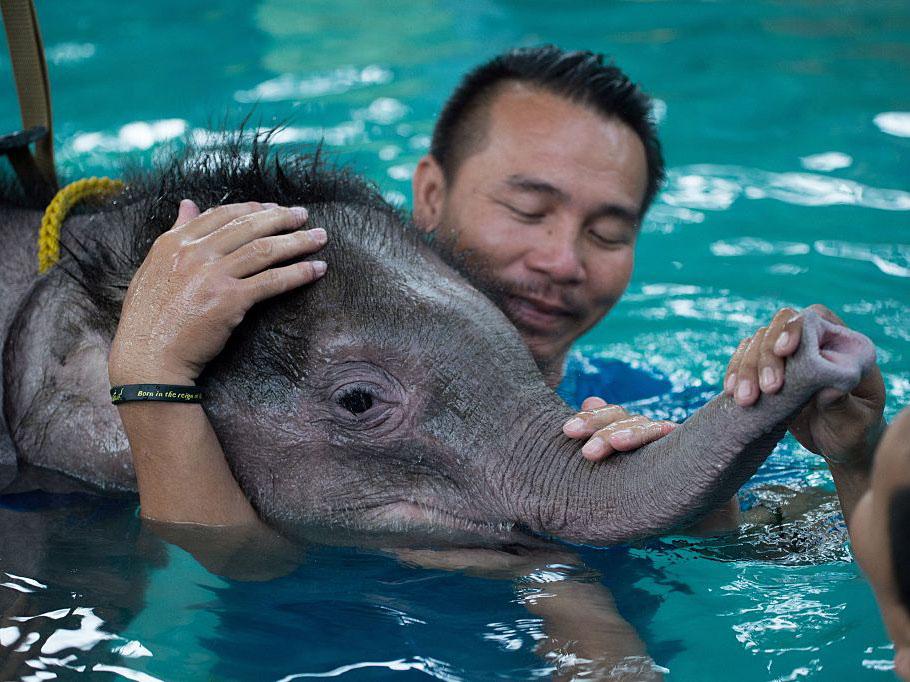 The water therapy will help to build strength in her injured leg