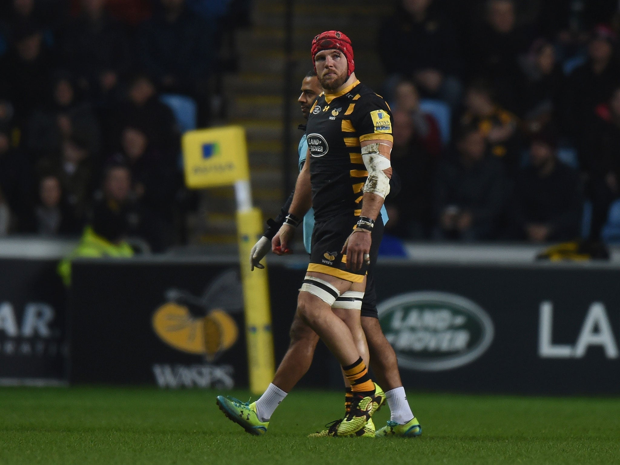 James Haskell leaves the pitch after picking up an injury