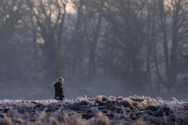 A dog walker in Bushy Park, south west London after overnight temperature drop below freezing across the capital