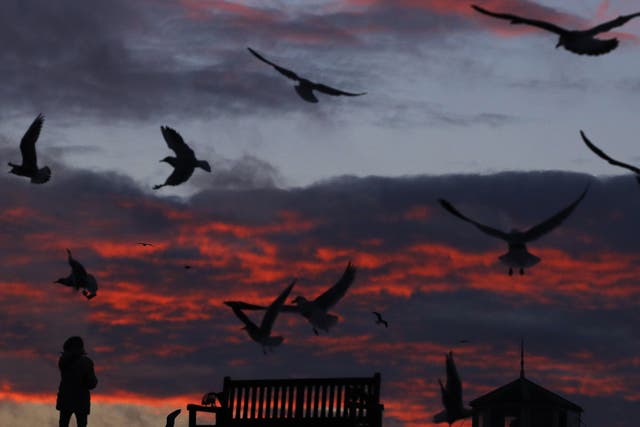 Gulls over Tynemouth in Tyne and Wear at sunset as most of the UK could see snow with Arctic air moving south and winds pick up towards the end of the week