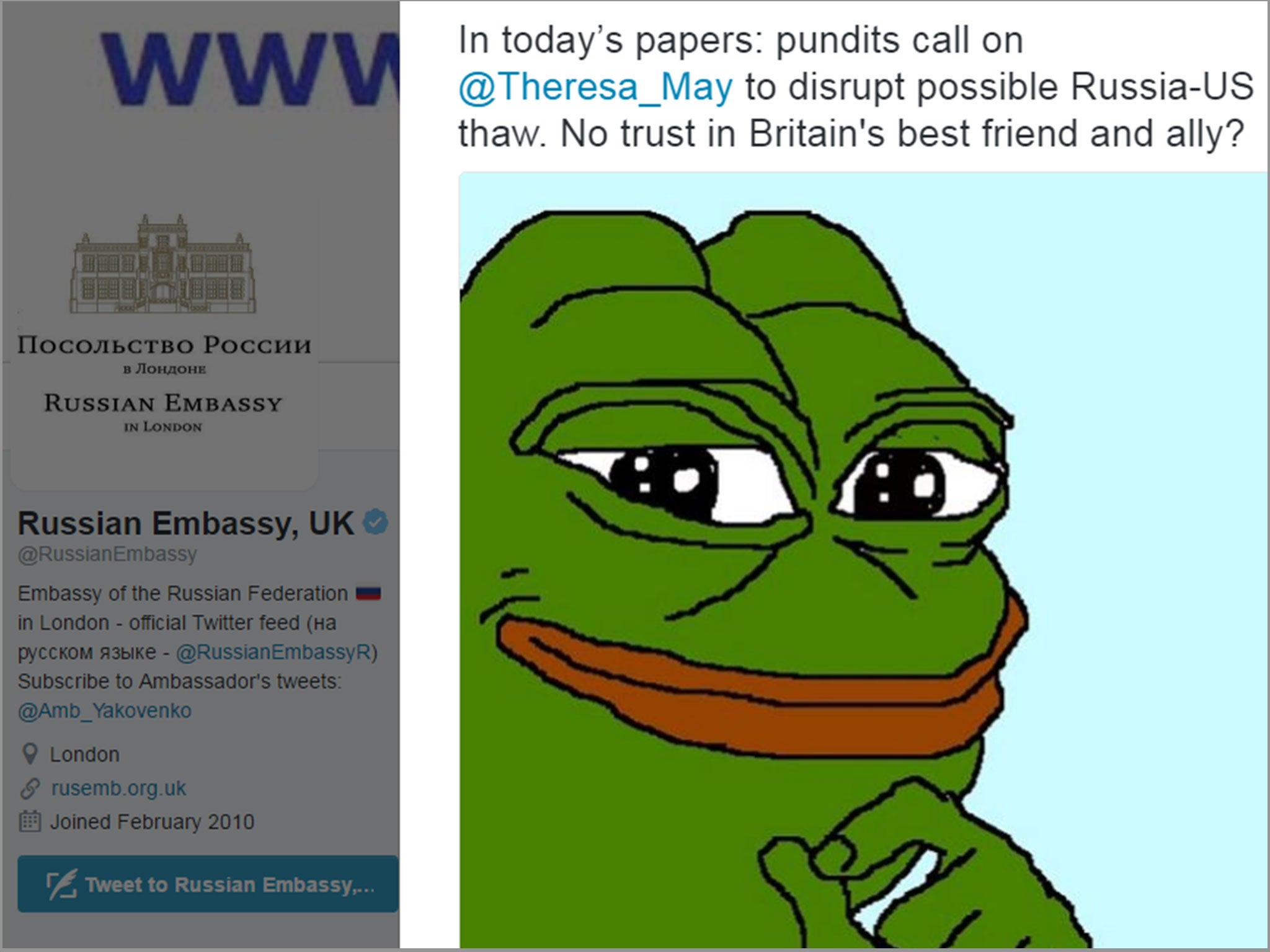 Russian Embassy In London Hits Out At Theresa May With White Supremacist Pepe The Frog Meme The Independent The Independent,Robo Dwarf Hamster Drawing