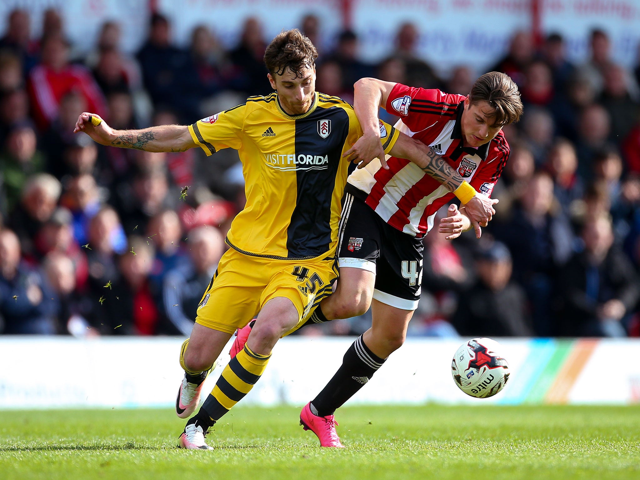 Brentford want Canos to be part of a youth revamp should Scott Hogan leave