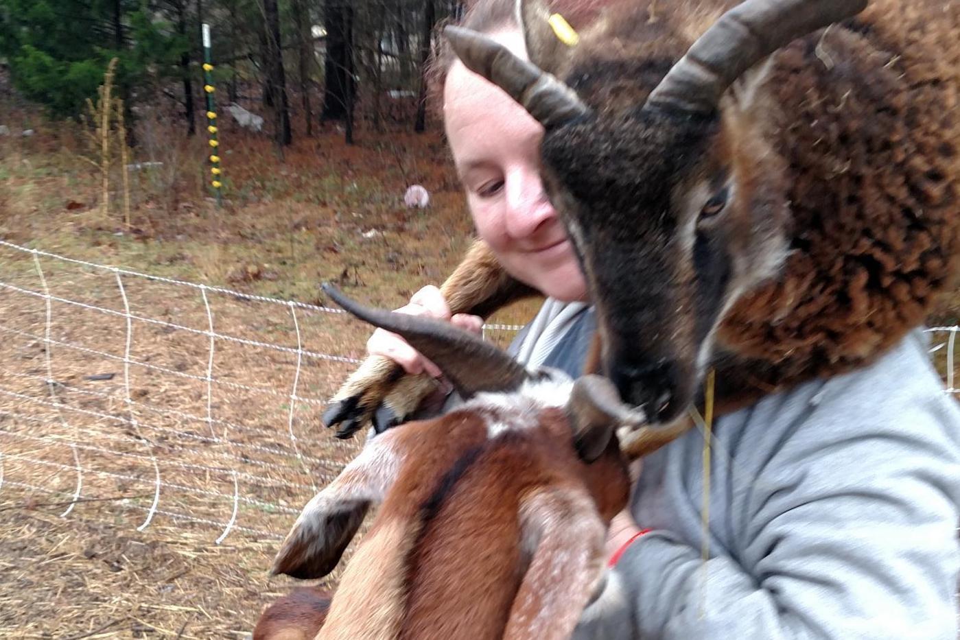 Andrea Chandler with some of her animals