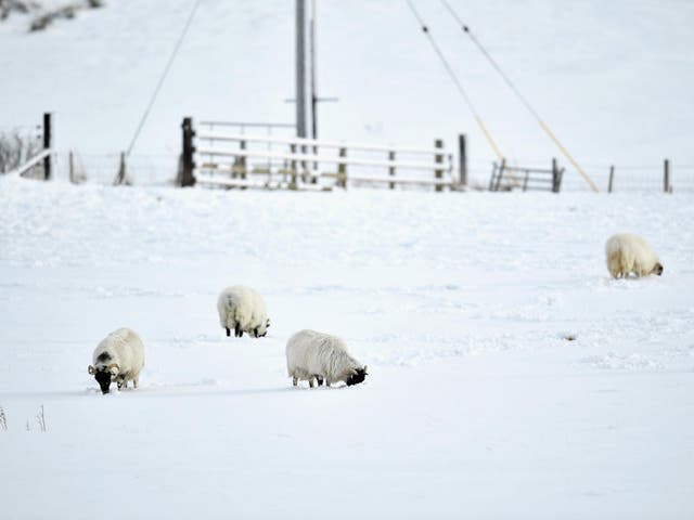 Snow in Newtonmore, Scotland, in January 2017