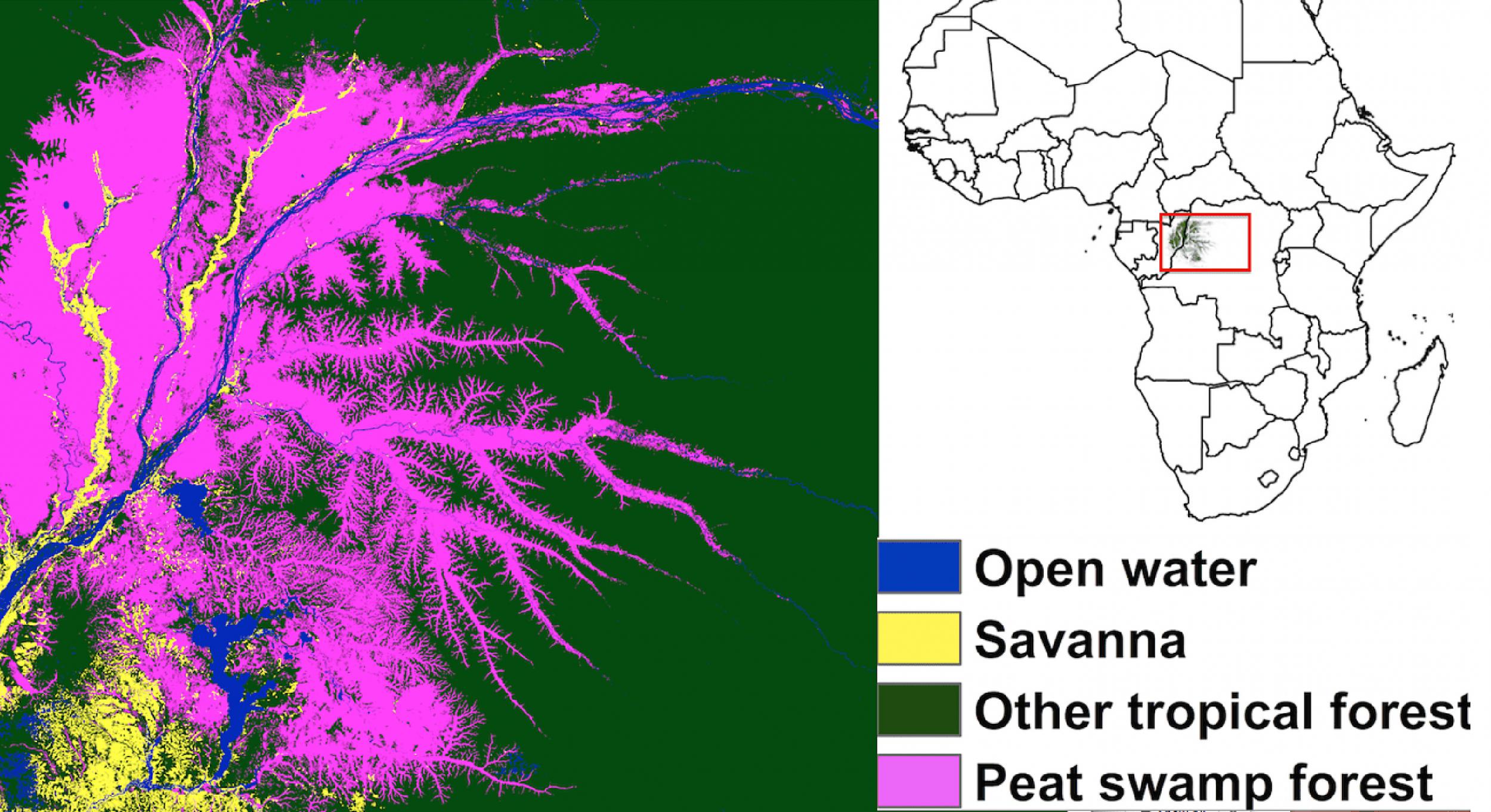 What we now know: the peatlands lie on either side of the Congo River, spanning an area more than 500 km across (Dargie &amp; Lewis et al/Nature, Author provided)