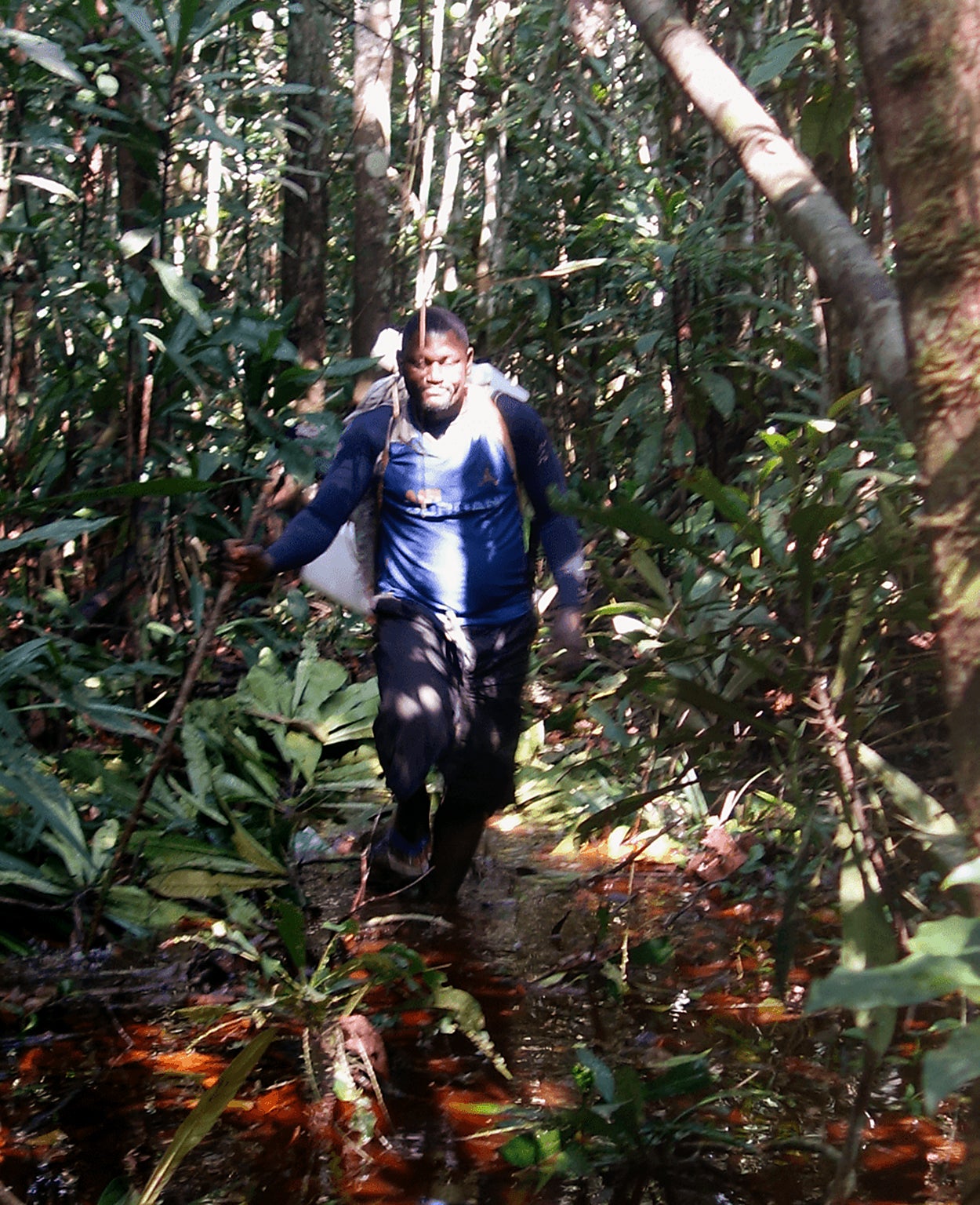 Ekous Moniobo, of Itanga village, who helped the authors learn to live in the swamp (Simon Lewis, author provided)