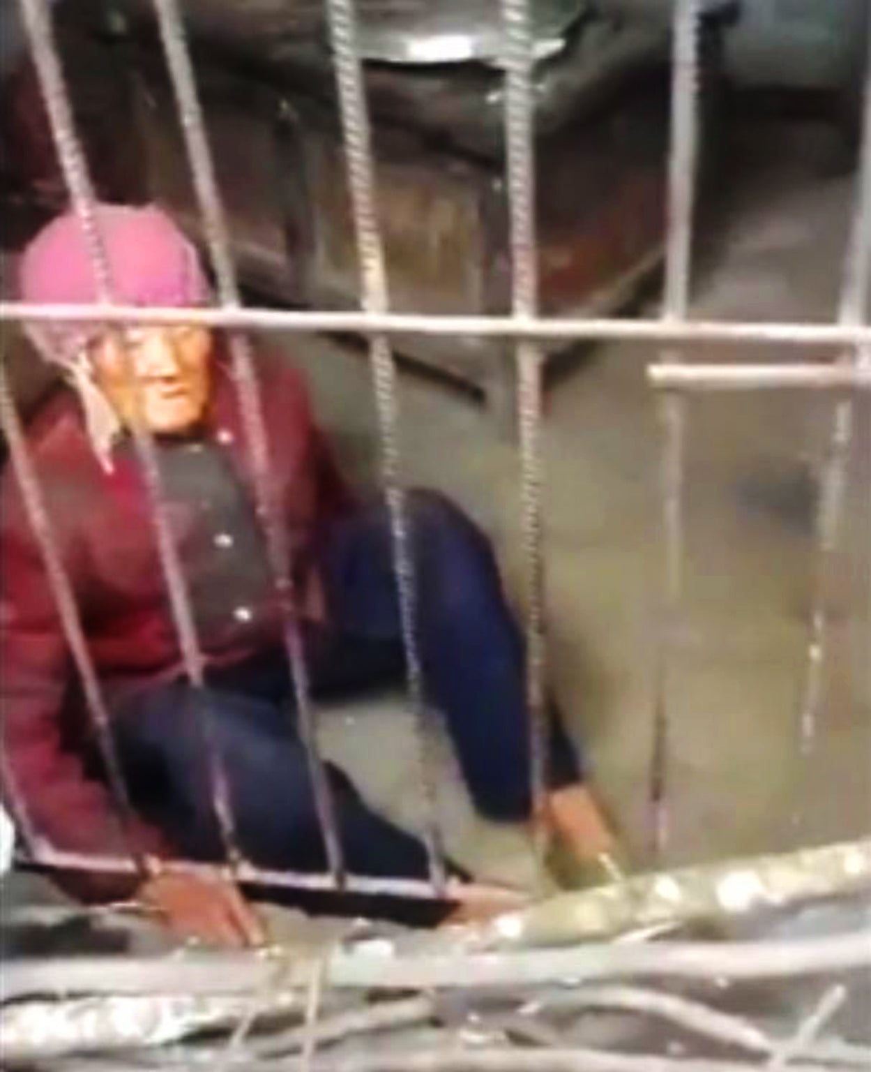 Chinese woman, 92, in pigsty