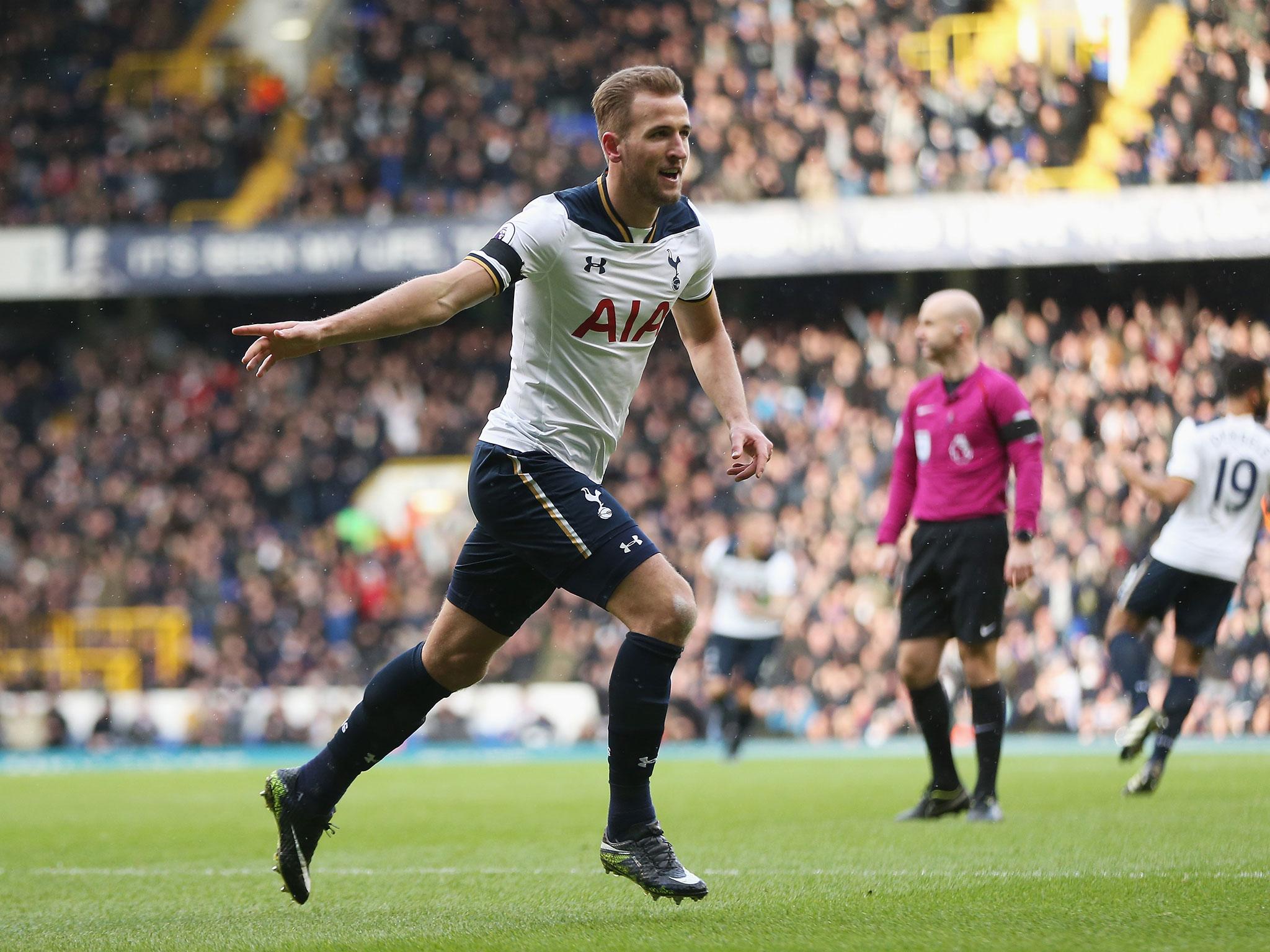 Harry Kane celebrates after putting Tottenham ahead against West Brom