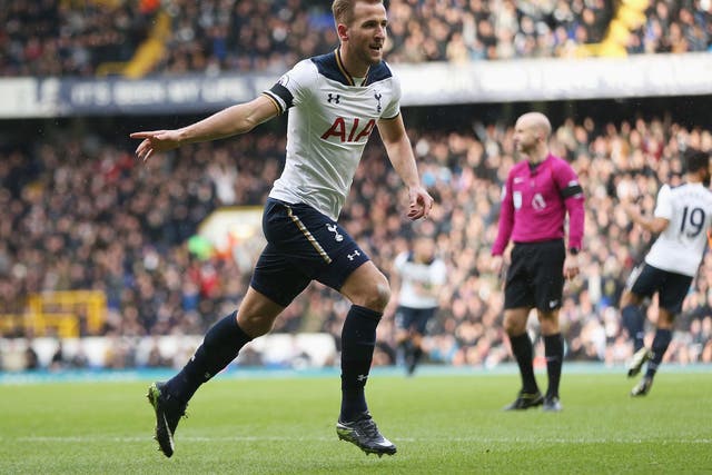 Harry Kane celebrates after putting Tottenham ahead against West Brom