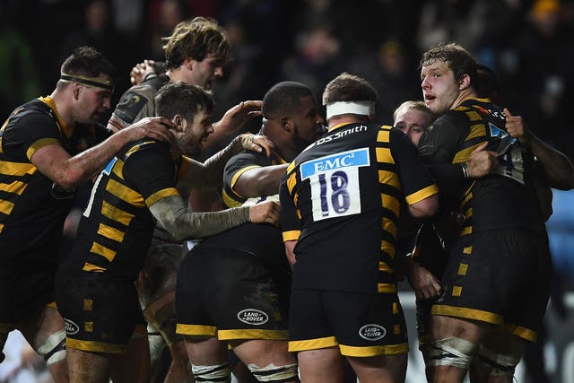 Wasps celebrate after Dan Robson's last-minute try secures victory over Toulouse
