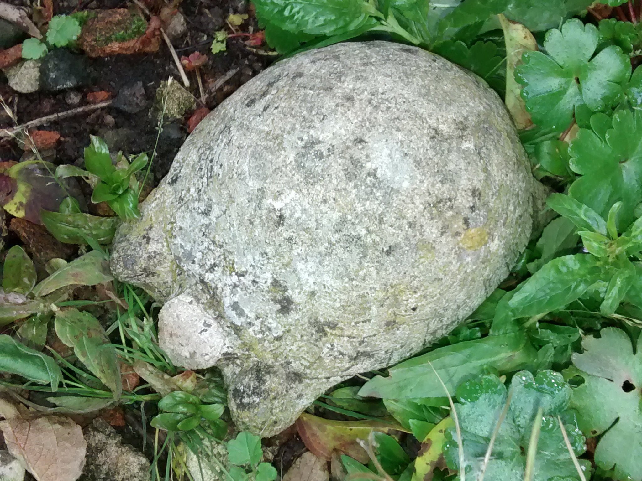 A tortoise ornament made of stone that was found by an RSPCA officer who was called about an escaped tortoise in Sheffield