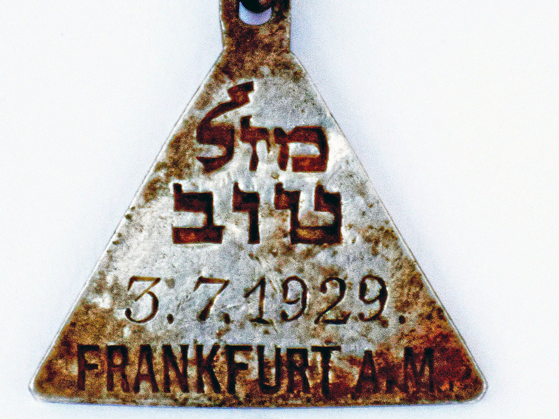 Both Anne Frank and Caroline Kohn were born in Frankfurt in 1929