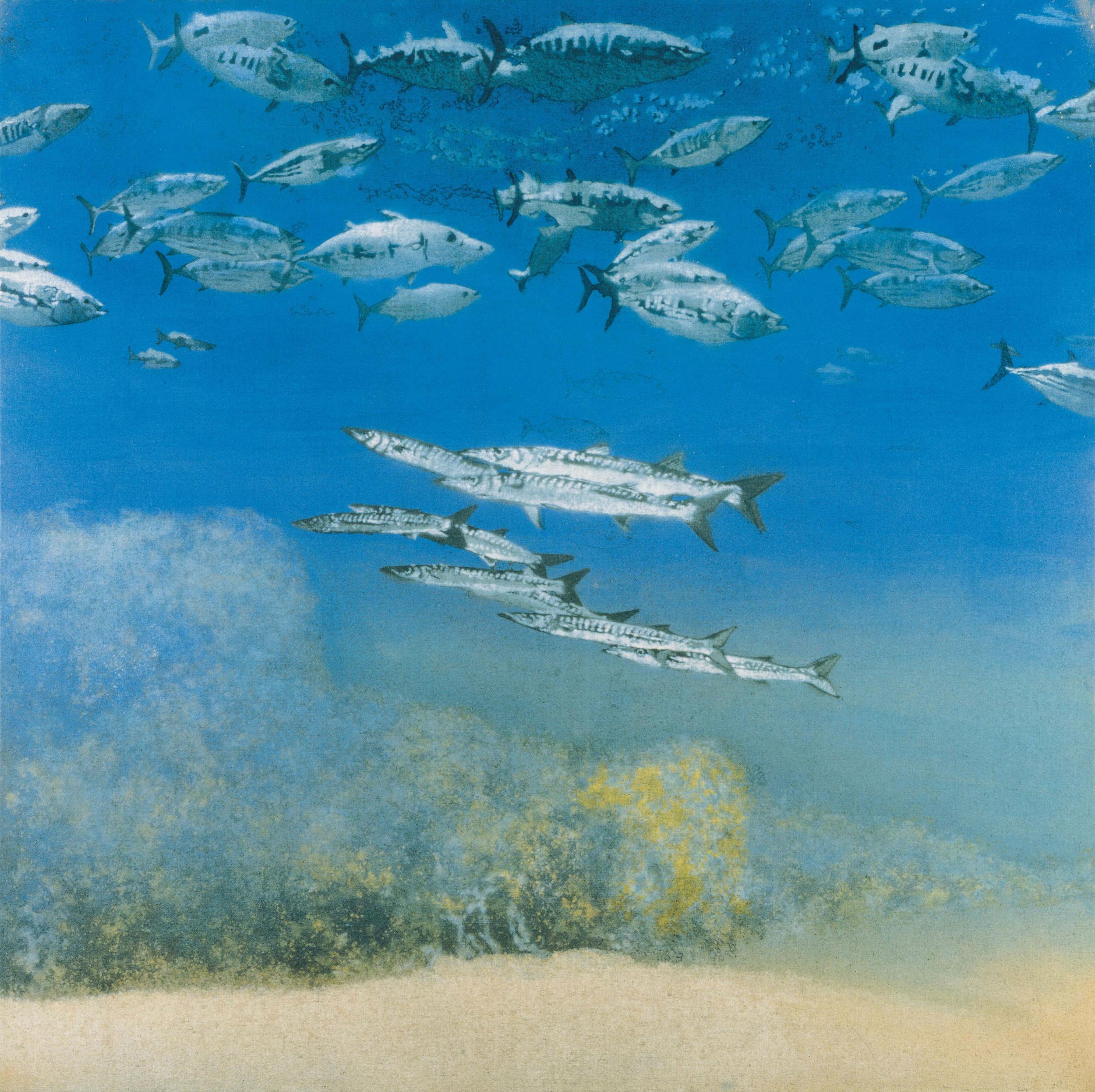 
Michael Andrews ‘School IV: Barracuda under Skipjack Tuna’, 1978 Acrylic on canvas 