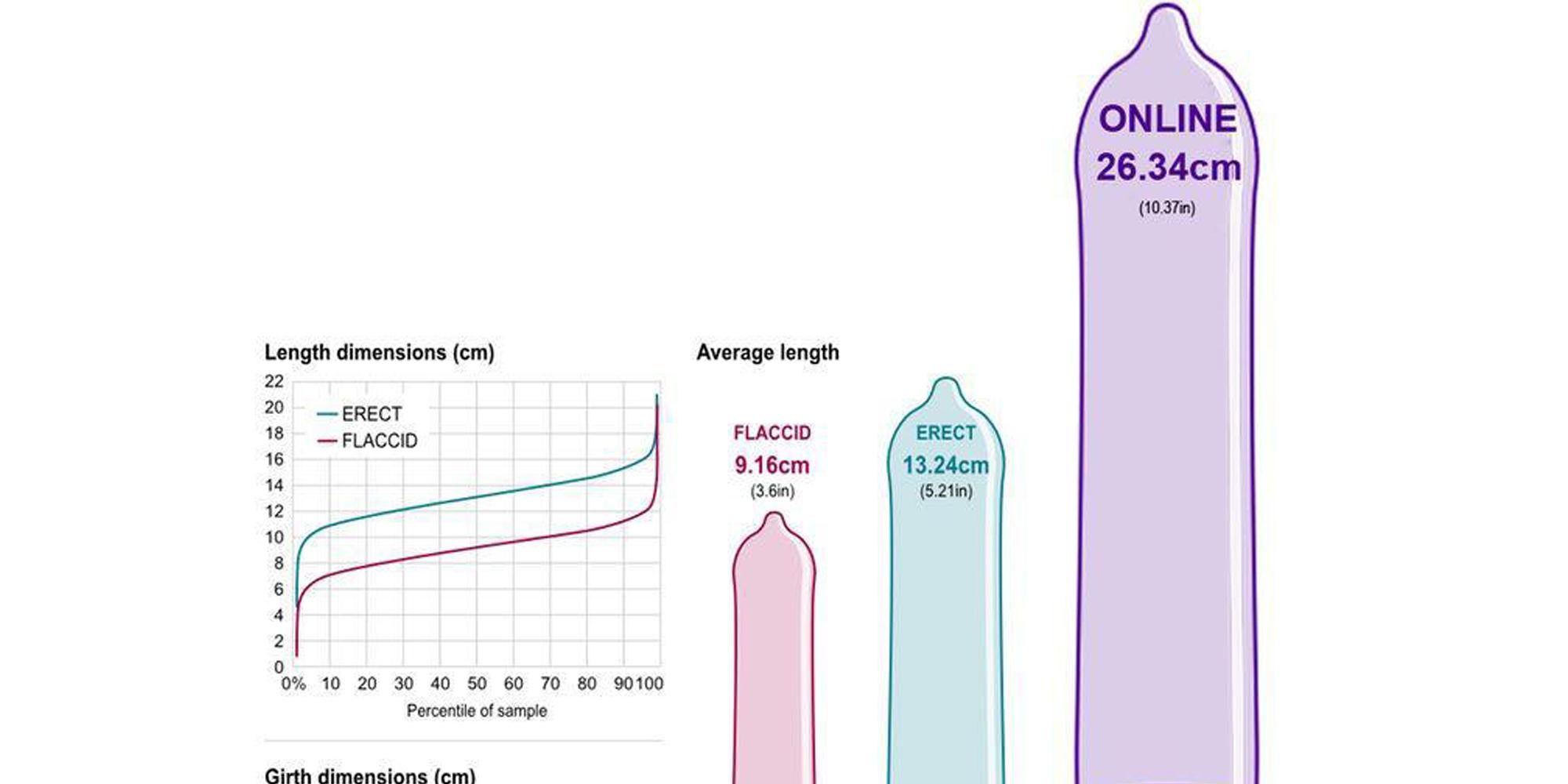 Average Girth Chart - How Big Is The Average Science Aaas. 