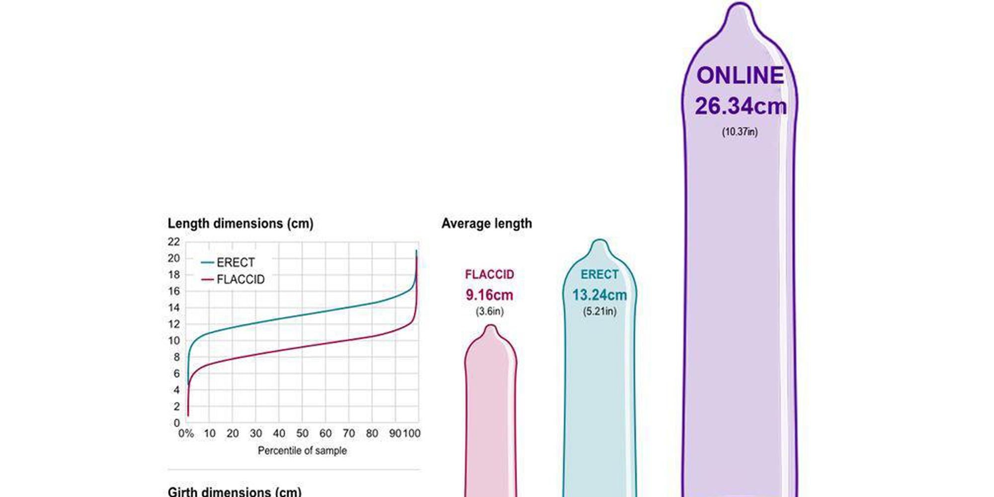 growers showers measuring difference penis average girth length between circumference indy100