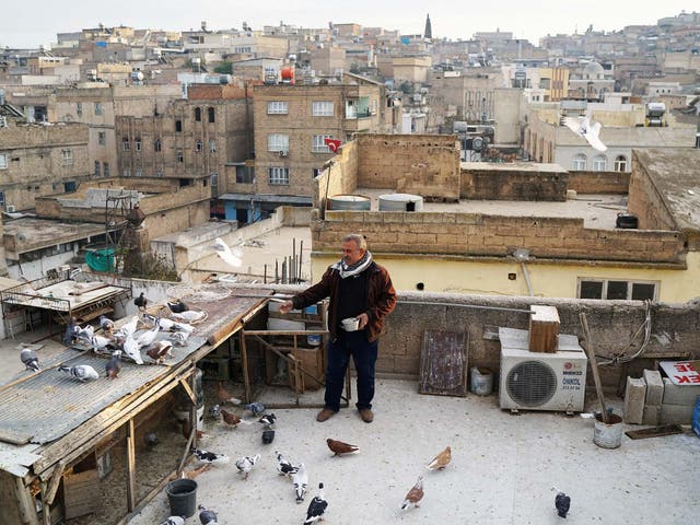 Resit Guzel feeds his pigeons on top of a roof in Sanliurfa