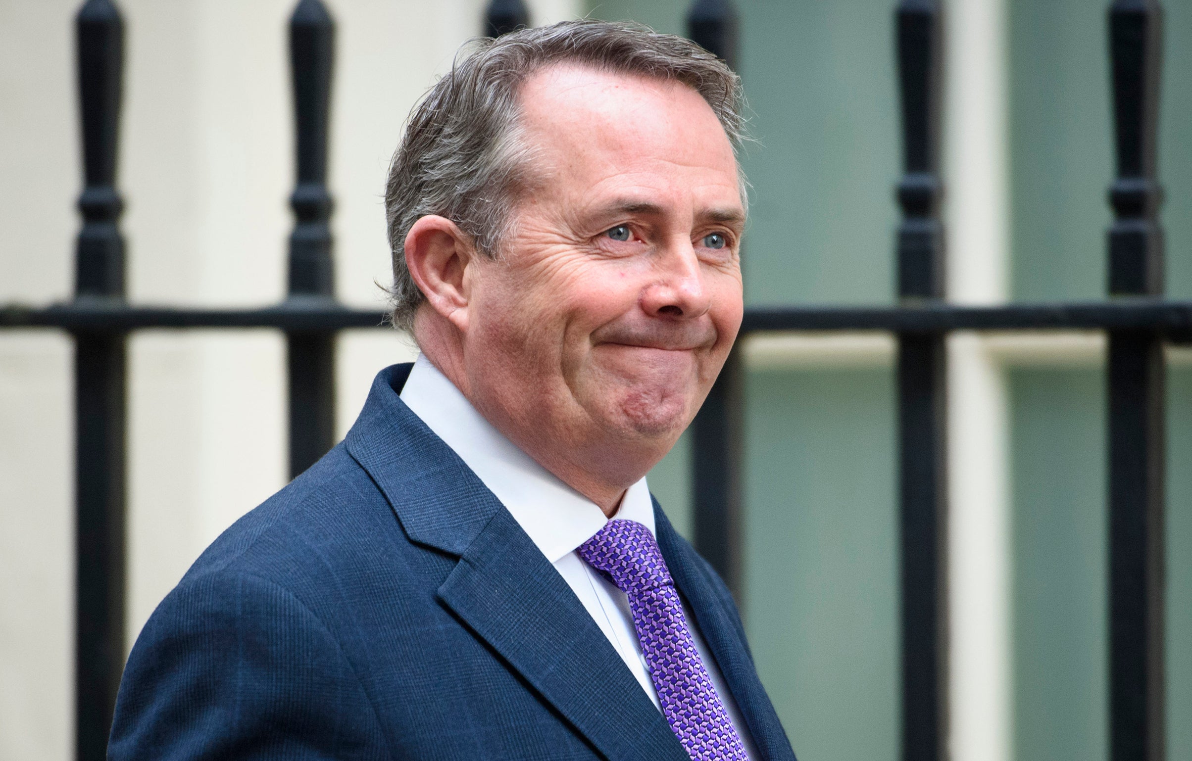 Liam Fox says work is being carried out with 'a number of countries'