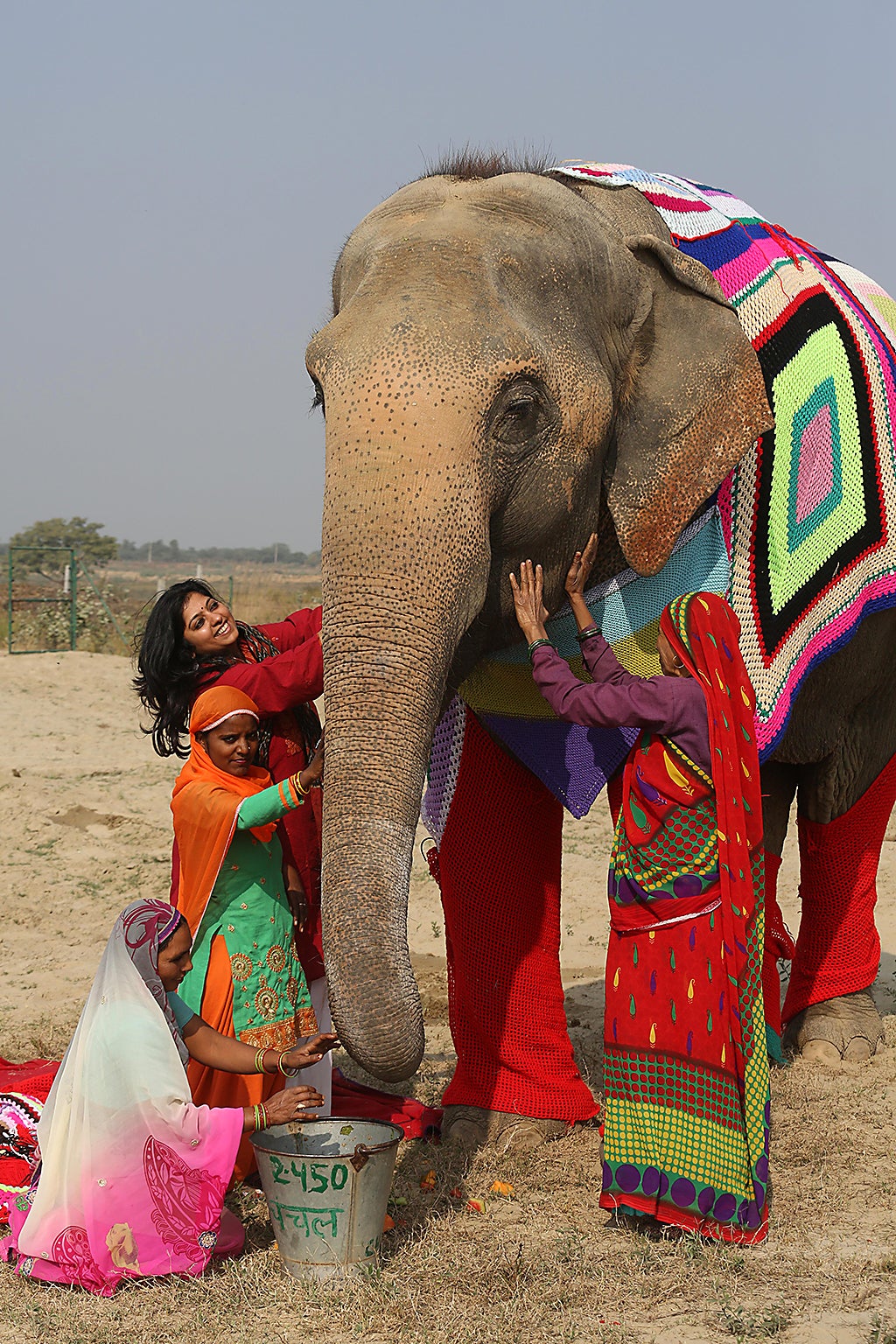 elephant jumpers