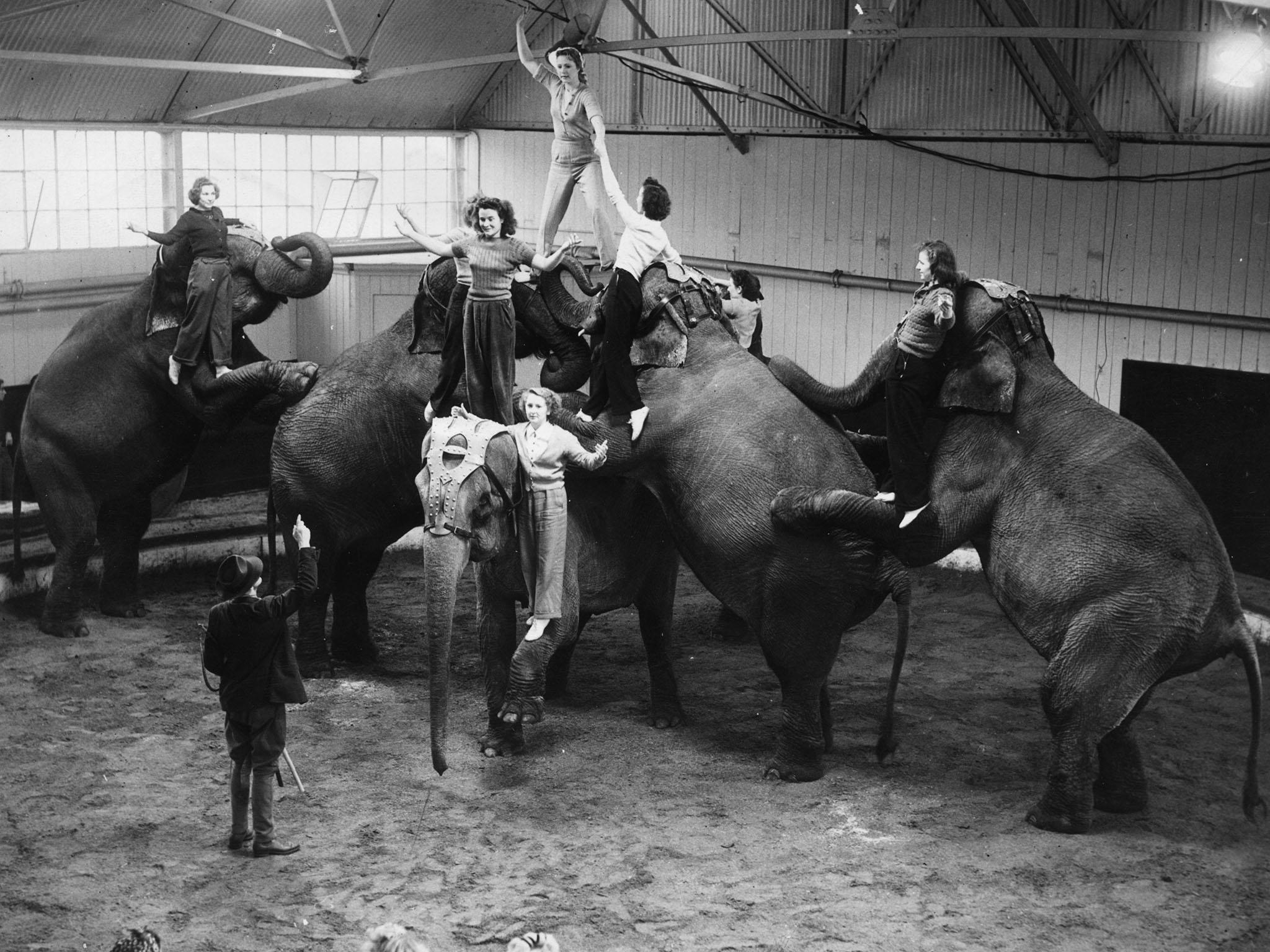 Wild animals moved from the menageries into circus in the mid-19th century