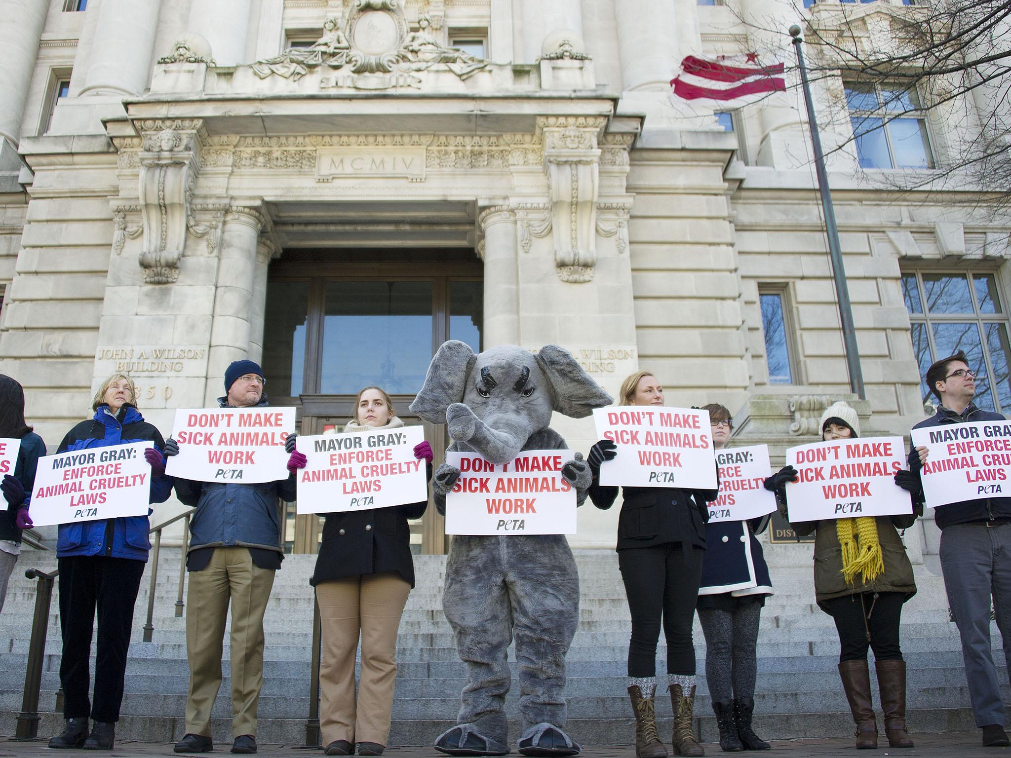 The news that Ringling Bros and Barnum &amp; Bailey will close in May has been greeted with glee by animal rights activists