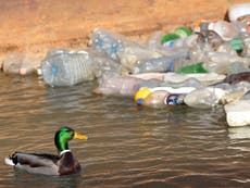 Government considering plastic bottle tax to tackle waste